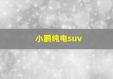 小鹏纯电suv