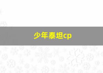 少年泰坦cp