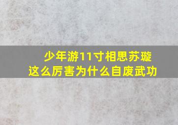 少年游11寸相思苏璇这么厉害为什么自废武功