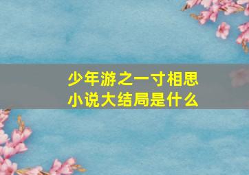 少年游之一寸相思小说大结局是什么