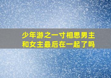 少年游之一寸相思男主和女主最后在一起了吗