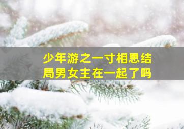 少年游之一寸相思结局男女主在一起了吗