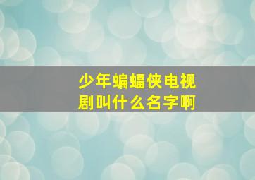 少年蝙蝠侠电视剧叫什么名字啊