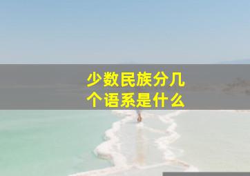 少数民族分几个语系是什么