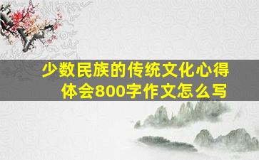 少数民族的传统文化心得体会800字作文怎么写