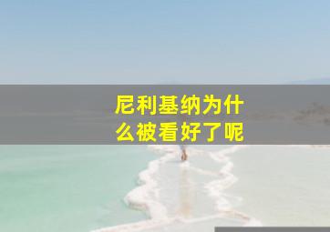 尼利基纳为什么被看好了呢