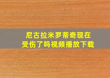 尼古拉米罗蒂奇现在受伤了吗视频播放下载