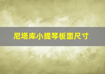 尼塔库小提琴板面尺寸