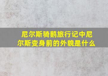 尼尔斯骑鹅旅行记中尼尔斯变身前的外貌是什么