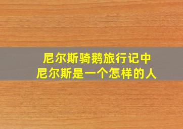 尼尔斯骑鹅旅行记中尼尔斯是一个怎样的人