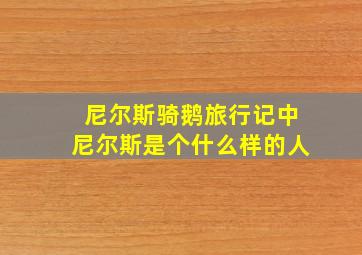 尼尔斯骑鹅旅行记中尼尔斯是个什么样的人