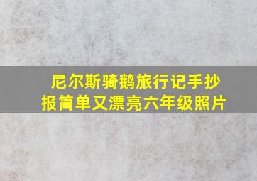 尼尔斯骑鹅旅行记手抄报简单又漂亮六年级照片