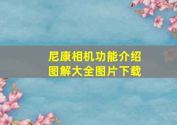 尼康相机功能介绍图解大全图片下载