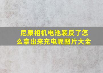 尼康相机电池装反了怎么拿出来充电呢图片大全