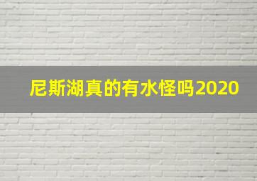 尼斯湖真的有水怪吗2020