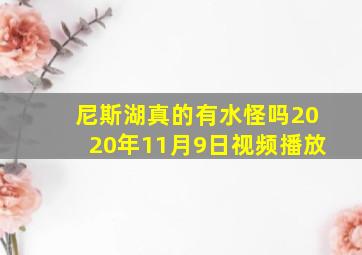 尼斯湖真的有水怪吗2020年11月9日视频播放