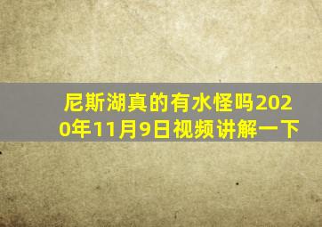 尼斯湖真的有水怪吗2020年11月9日视频讲解一下