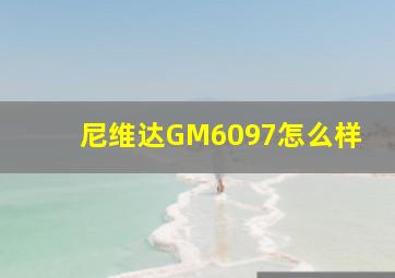 尼维达GM6097怎么样