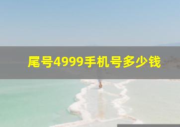 尾号4999手机号多少钱