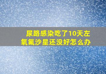 尿路感染吃了10天左氧氟沙星还没好怎么办