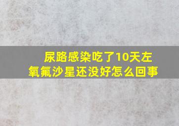 尿路感染吃了10天左氧氟沙星还没好怎么回事