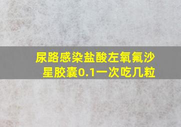 尿路感染盐酸左氧氟沙星胶囊0.1一次吃几粒