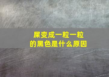 屎变成一粒一粒的黑色是什么原因