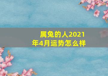 属兔的人2021年4月运势怎么样