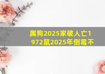 属狗2025家破人亡1972鼠2025年倒霉不