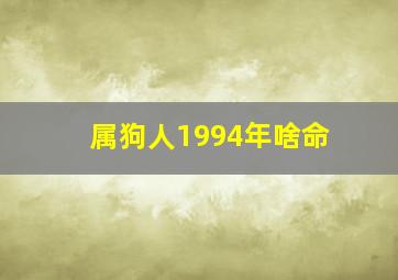 属狗人1994年啥命