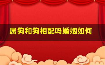 属狗和狗相配吗婚姻如何