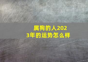 属狗的人2023年的运势怎么样