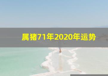 属猪71年2020年运势