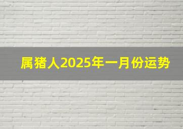 属猪人2025年一月份运势