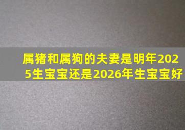 属猪和属狗的夫妻是明年2025生宝宝还是2026年生宝宝好