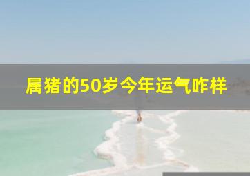 属猪的50岁今年运气咋样