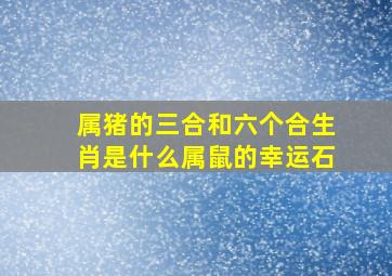 属猪的三合和六个合生肖是什么属鼠的幸运石