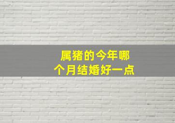 属猪的今年哪个月结婚好一点