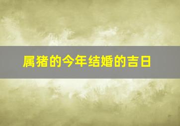 属猪的今年结婚的吉日