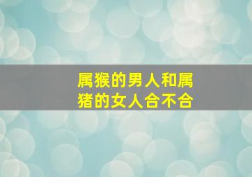 属猴的男人和属猪的女人合不合