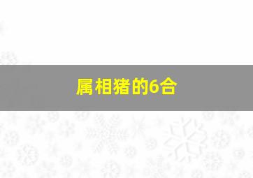 属相猪的6合