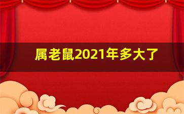 属老鼠2021年多大了