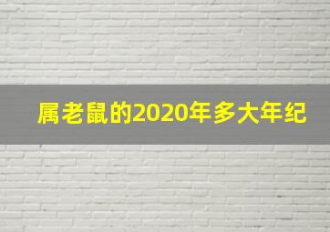 属老鼠的2020年多大年纪