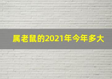 属老鼠的2021年今年多大