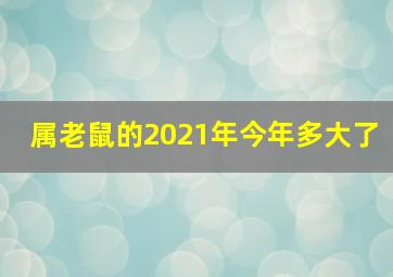 属老鼠的2021年今年多大了