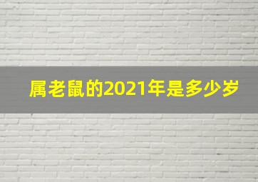 属老鼠的2021年是多少岁