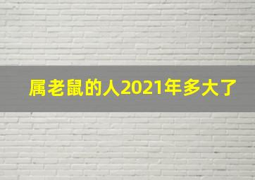 属老鼠的人2021年多大了