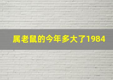 属老鼠的今年多大了1984