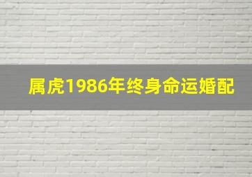 属虎1986年终身命运婚配