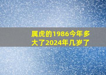 属虎的1986今年多大了2024年几岁了